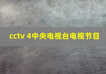 cctv 4中央电视台电视节目